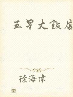 五星大饭店小说