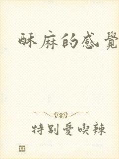 酥麻的感觉小说