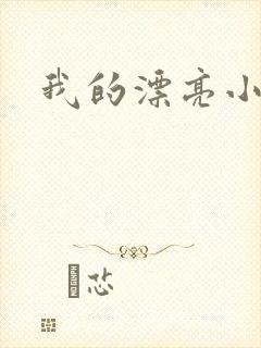 我的漂亮小后妈