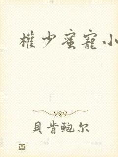 权少蜜宠小娇妻