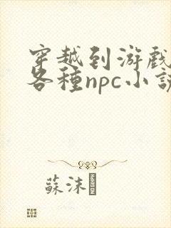 穿越到游戏里和各种npc小说