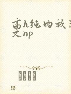 高h纯肉放荡h文np
