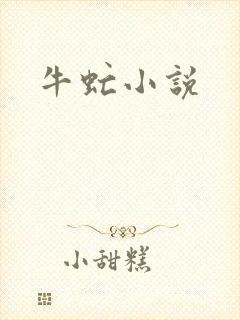 牛虻小说