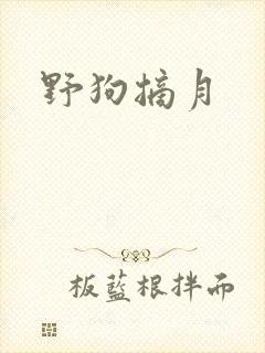 野狗摘月