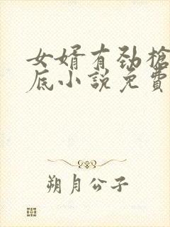 女婿有劲枪枪到底小说免费看