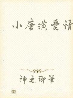 小唐璜爱情历史