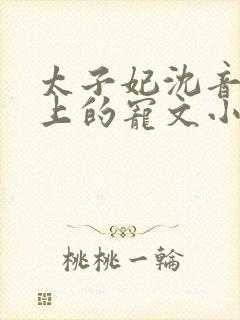 太子妃沈音和皇上的宠文小说