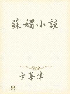 苏媚小说