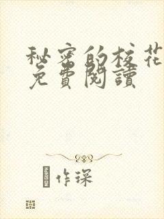 秘密的校花小说免费阅读