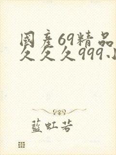 国产69精品久久久久999小说