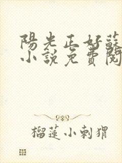 阳光正好苏玥玥小说免费阅读