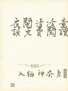 夜阑清冷意欢小说免费阅读