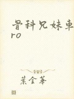 骨科兄妹车多pro