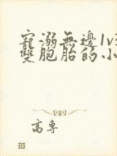 宠溺无边1v3双胞胎的小说