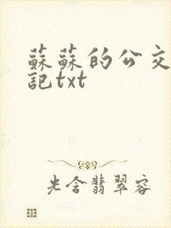 苏苏的公交车日记txt