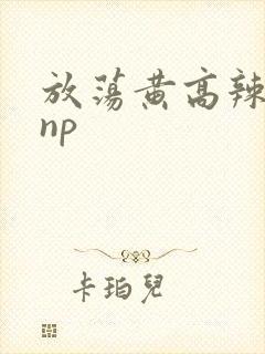 放荡黄高辣h文np