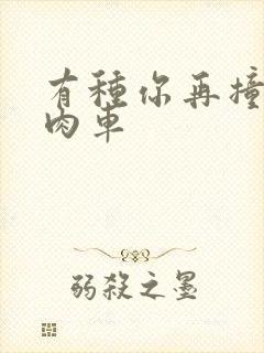 有种你再撞一下肉车