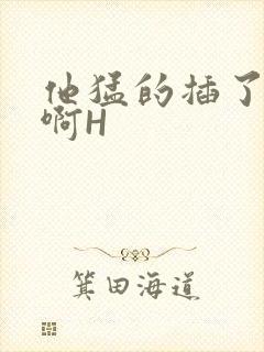 他猛的插了进去啊H