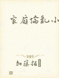 家庭伦乱小说