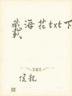 藏海花txt下载
