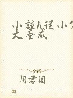 小说h从小做到大养成