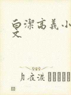 白洁高义小说全文