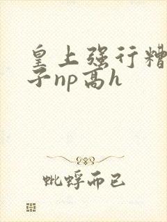 皇上强行糟蹋太子np高h