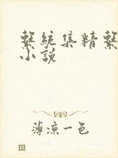 系统集精系统 小说