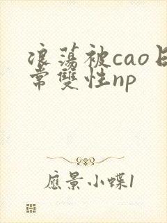 浪荡被cao日常双性np