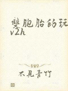 双胞胎的玩具1v2h