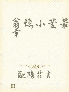 翁熄小莹最新节章