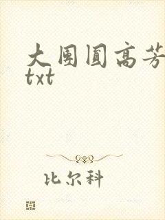 大团圆高芳小说txt
