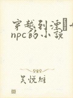 穿越到湮婸世界npc的小说