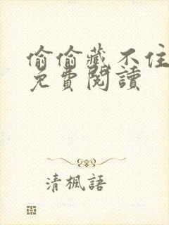 偷偷藏不住小说免费阅读