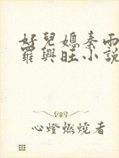 好儿媳秦雨罗明罗兴旺小说