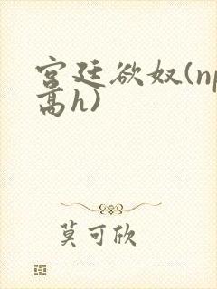 宫廷欲奴(np高h)