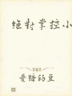 绝对掌控小说