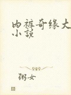 内裤奇缘大团结小说