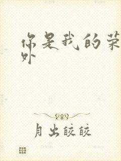 你是我的荣耀番外