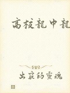 高校龙中龙