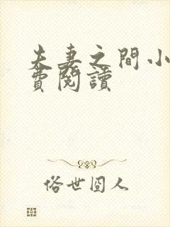 夫妻之间小说免费阅读