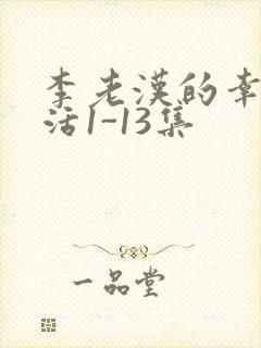 李老汉的幸福生活1-13集