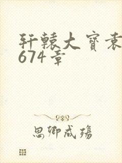 轩辕大宝袁雪妃674章