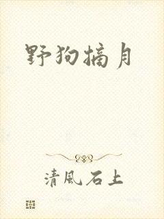 野狗摘月
