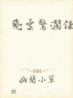 飞云惊澜录