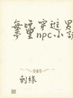 每晚穿进男神的梦里npc小说