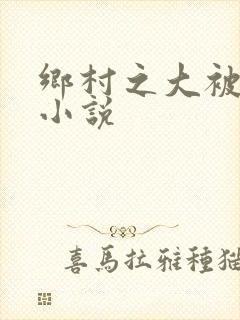 乡村之大被同眠小说