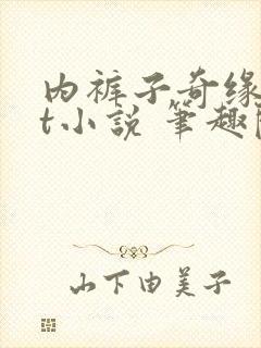 内裤子奇缘txt小说 笔趣阁