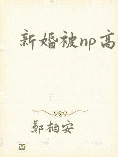 新婚被np高h