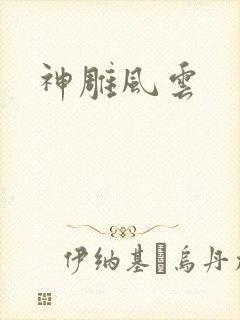 神雕风云